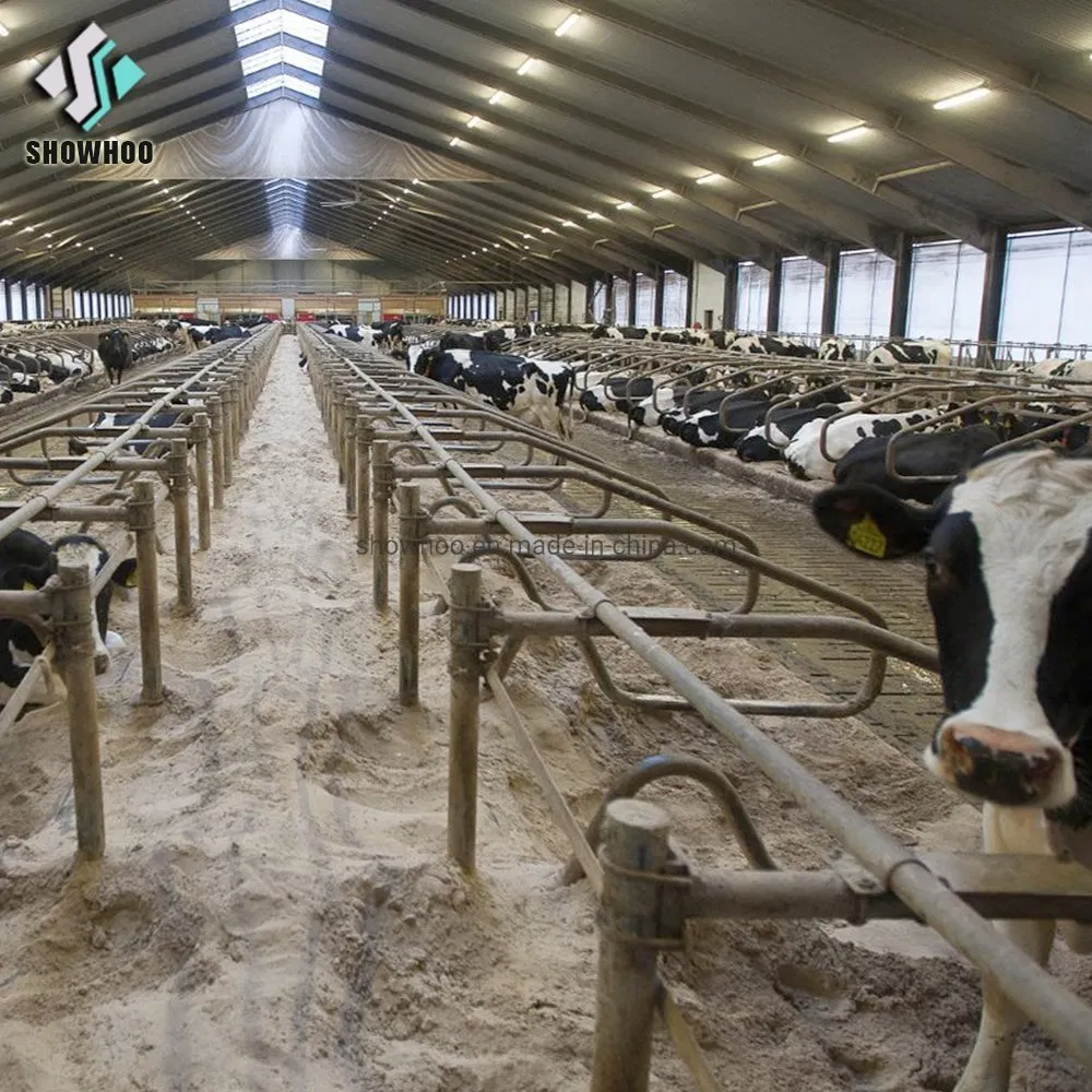 Steel Structure Building Prefab Horse Barn