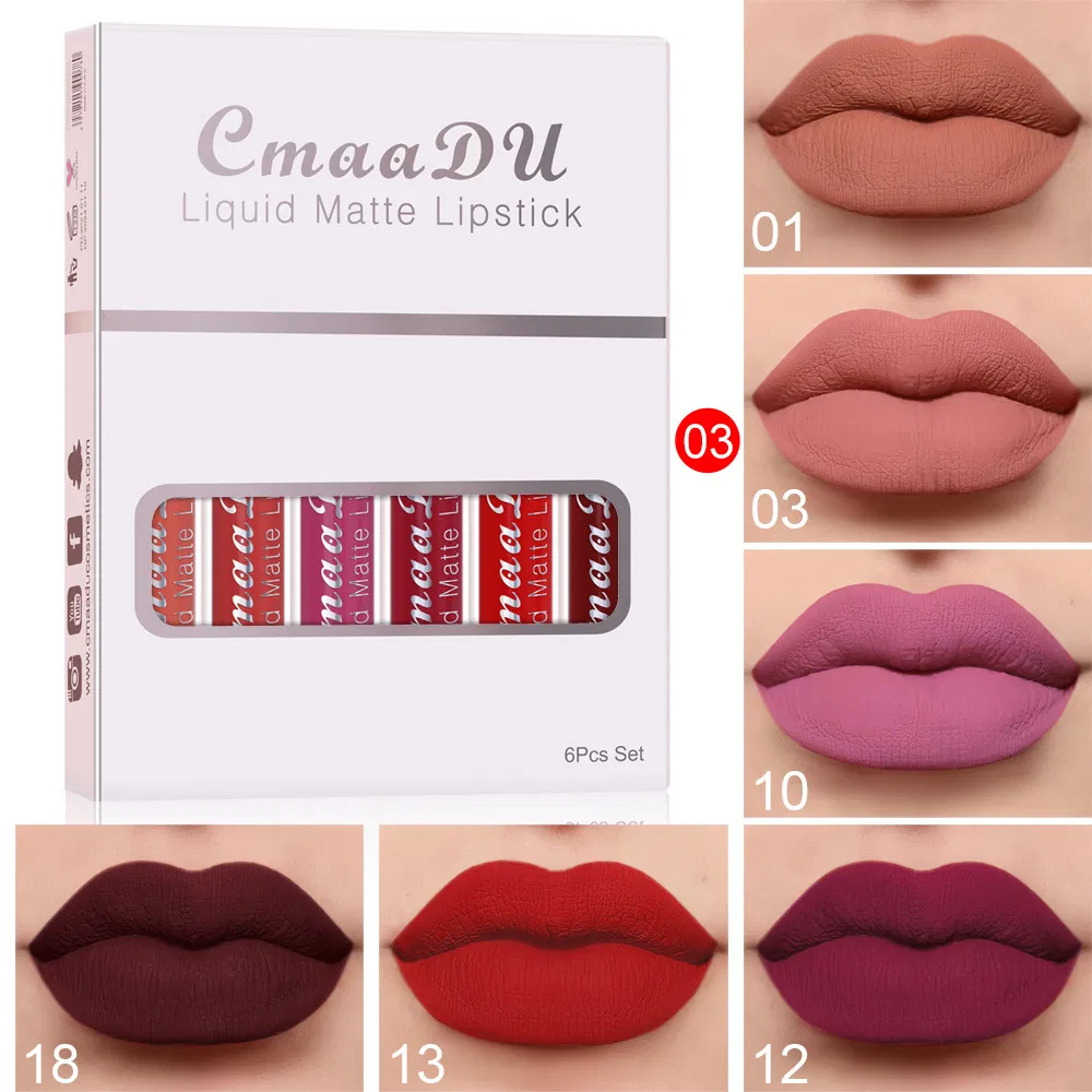 6PCS/Set Matte Velvet Non-Stick Cup Waterproof Not Easy to Swap Makeup Private Label Lipstick Long Lasting Lip Gloss Set