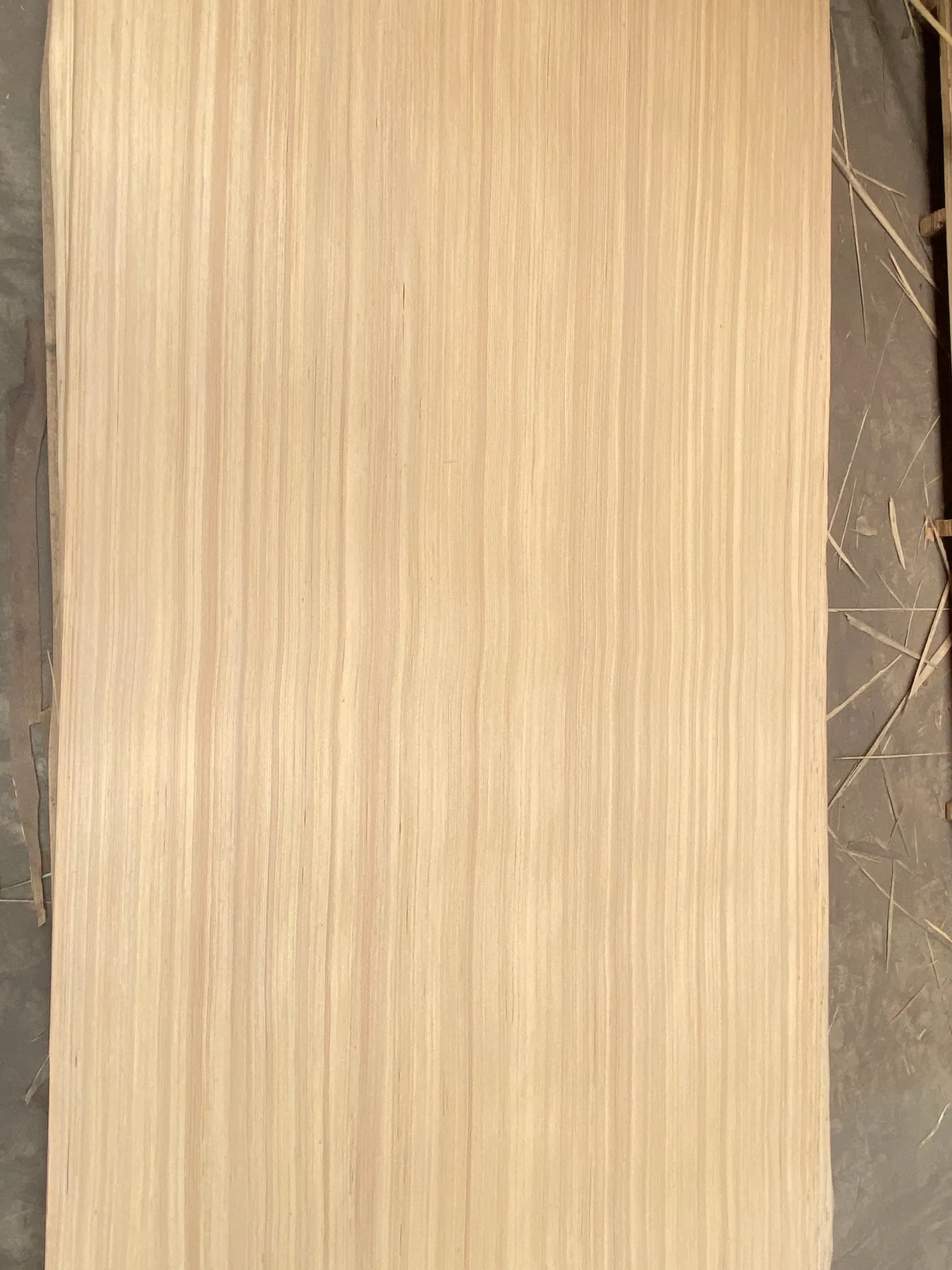 10'x6' Rotary Cut Okoume Veneer for Plywood
