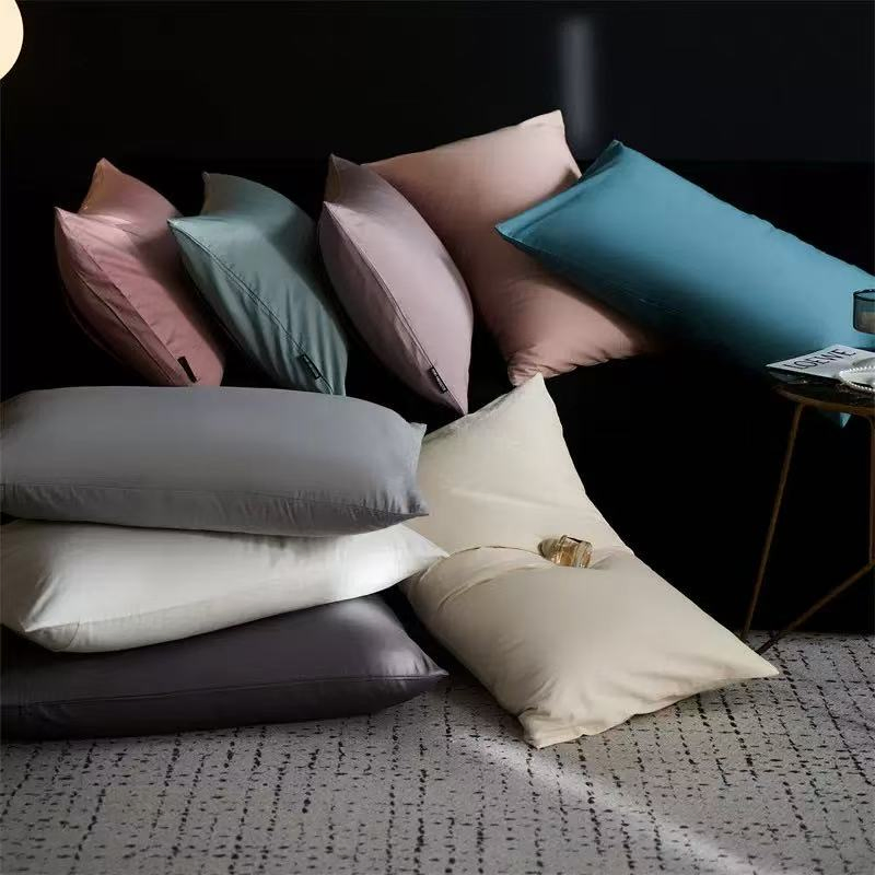 Modern Hotel Quality Air-Permeable Sleeping Pillow 200tc 100% Polyester Solid Pattern Good Neck Support Winter Packaged Bag