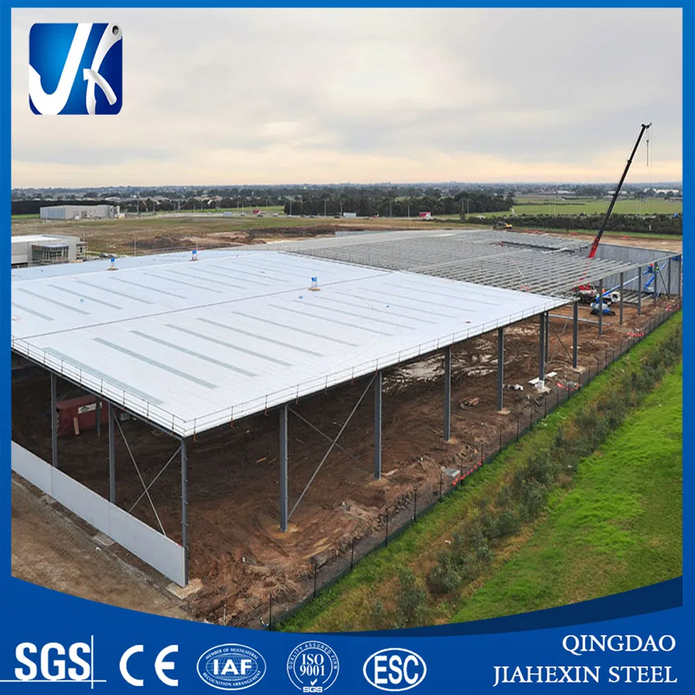 Steel Structure Workshop/Steel Structure Warehouse/Steel Building