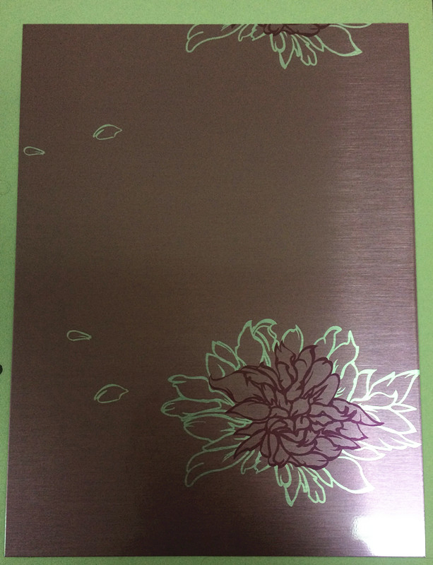 Embossed Steel Sheet, for Refrigerator Door Panel