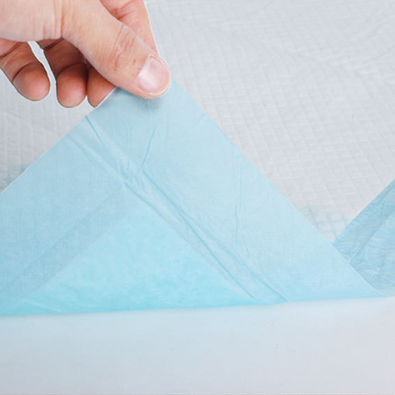 High Absorbency and Cheap Pet Pad 60X90cm 75X75cm Blue Pink Underpads