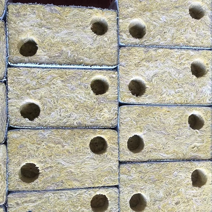 2025 New Seeds Growing Hydroponic Rock Wool Plant Cubes with 2 Holes