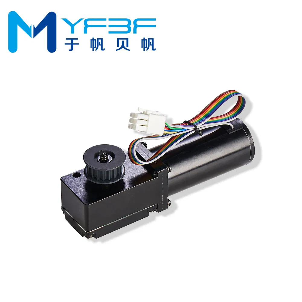 High-Performance Direct Drive Mini Motor Automatic Sliding Door Motor