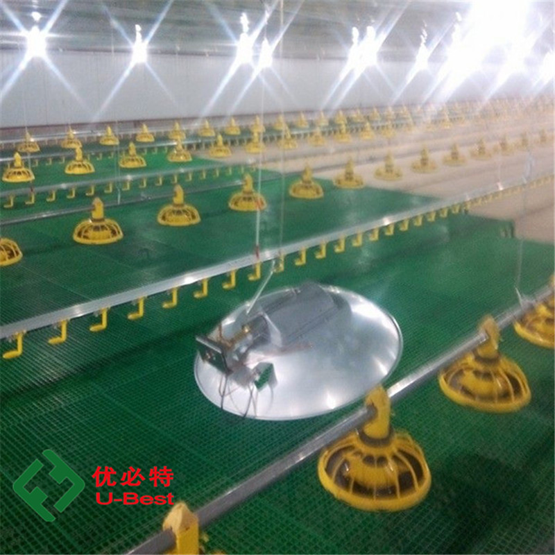 Automatic Feeding System Poultry Feed Line System Poultry Farm Equipment