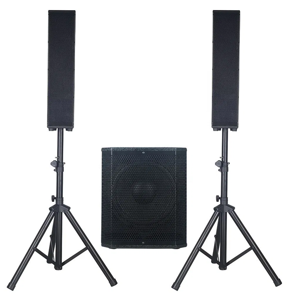 Professional Audio 2000W 12" Subwoofer Karaoke Sets PA Speaker System Sound Box Active Subwoofer Line Array Bocina Parlante