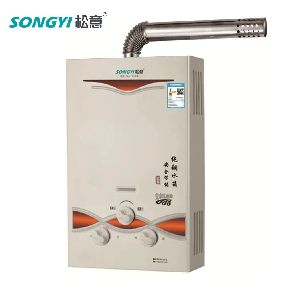 Camping Geyser Intelligent Tankless Gas Water Heater Indoor Heating