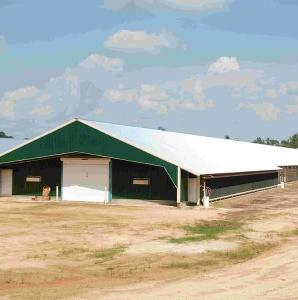 Affordable Automated Poultry House Systems for Easy Setup
