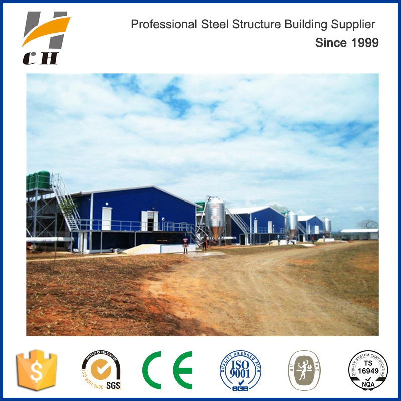 Prefab Steel Structure Poultry Housing Poultry Slaughter House Poultry Farm Construction