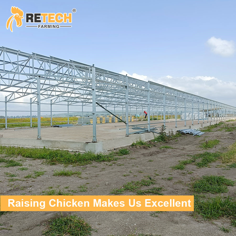 Chicken House with Chicken Cage Egg Layer and Prefab Steel in the Chicken Farm