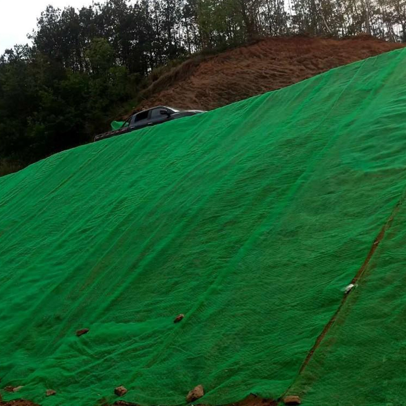 Erosion Control Blanket Geomat 3D Mesh Geomat and Geonet Turf Reinforcement Geomat