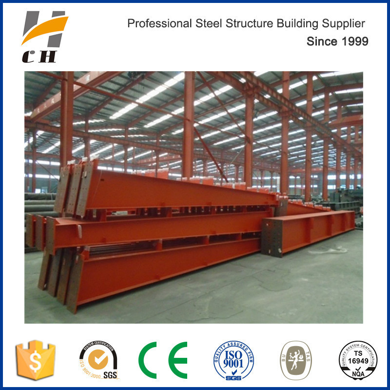 Professional Prefabricated Low Cost Chicken Shelter