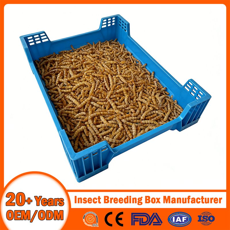 China Plastic Insect Breeding Box Manufacturer Stackable/Attached Lid/Nestable/Lobster/Bale Arm/EU/Euo Moving Mesh Turnover Logistic/Bread/Egg/Beer Tote Box