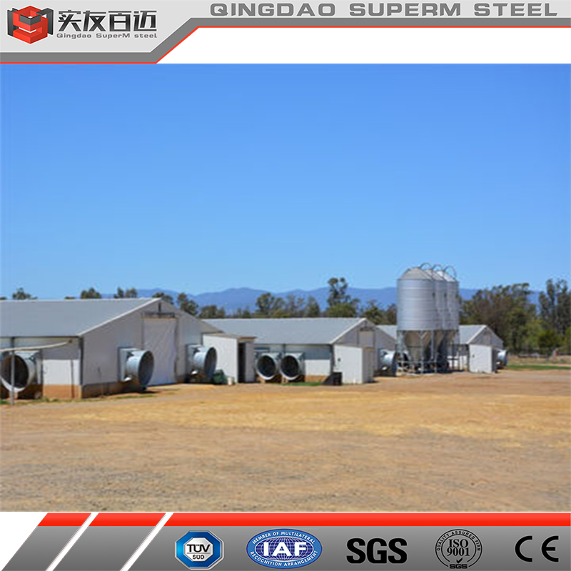Hot Sale Prefabricated Steel Structure Poultry House for Chicken Broiler Shed