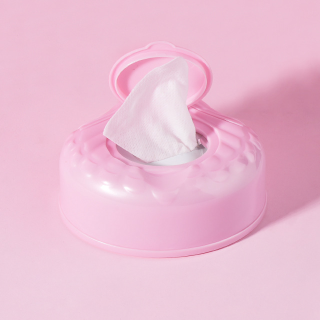 Wholesale Pink Shell Shape Cosmetic Private Label Makeup Remover Wet Wipes