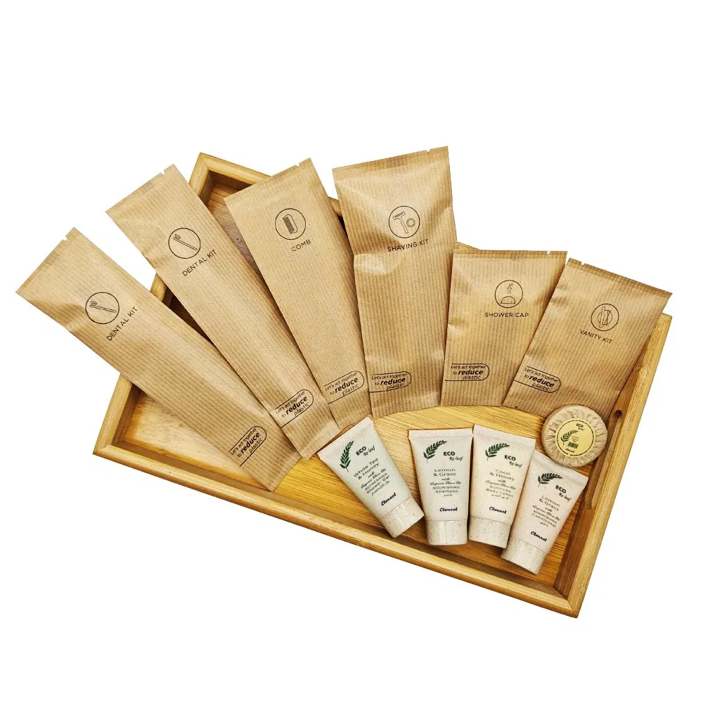 Custom Disposable Tooth Brush Supplies Set Hotel Amenity Toiletries