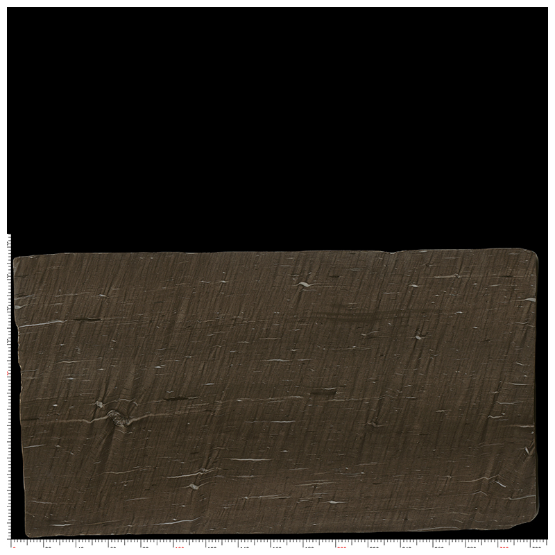 Leathered Cygnus /Brown Silk /Beauty Musk Exotic Quartzite for Wall and Countertops