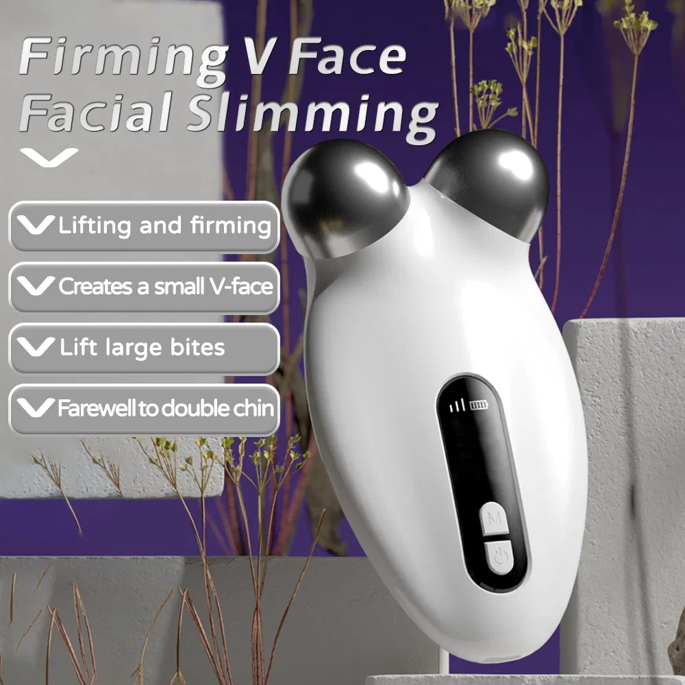 Beauty Instrument Home Face Temperature Massage Lifting Instrument EMS Micro Current Pulse V Type Face Slimming Instrument