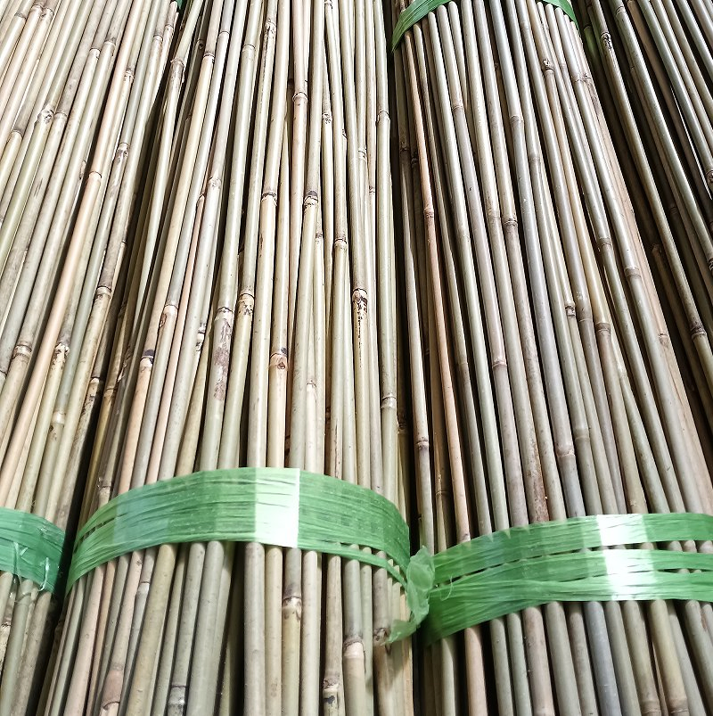 Tonkin Bamboo Pole – Premium Quality at Affordable Prices