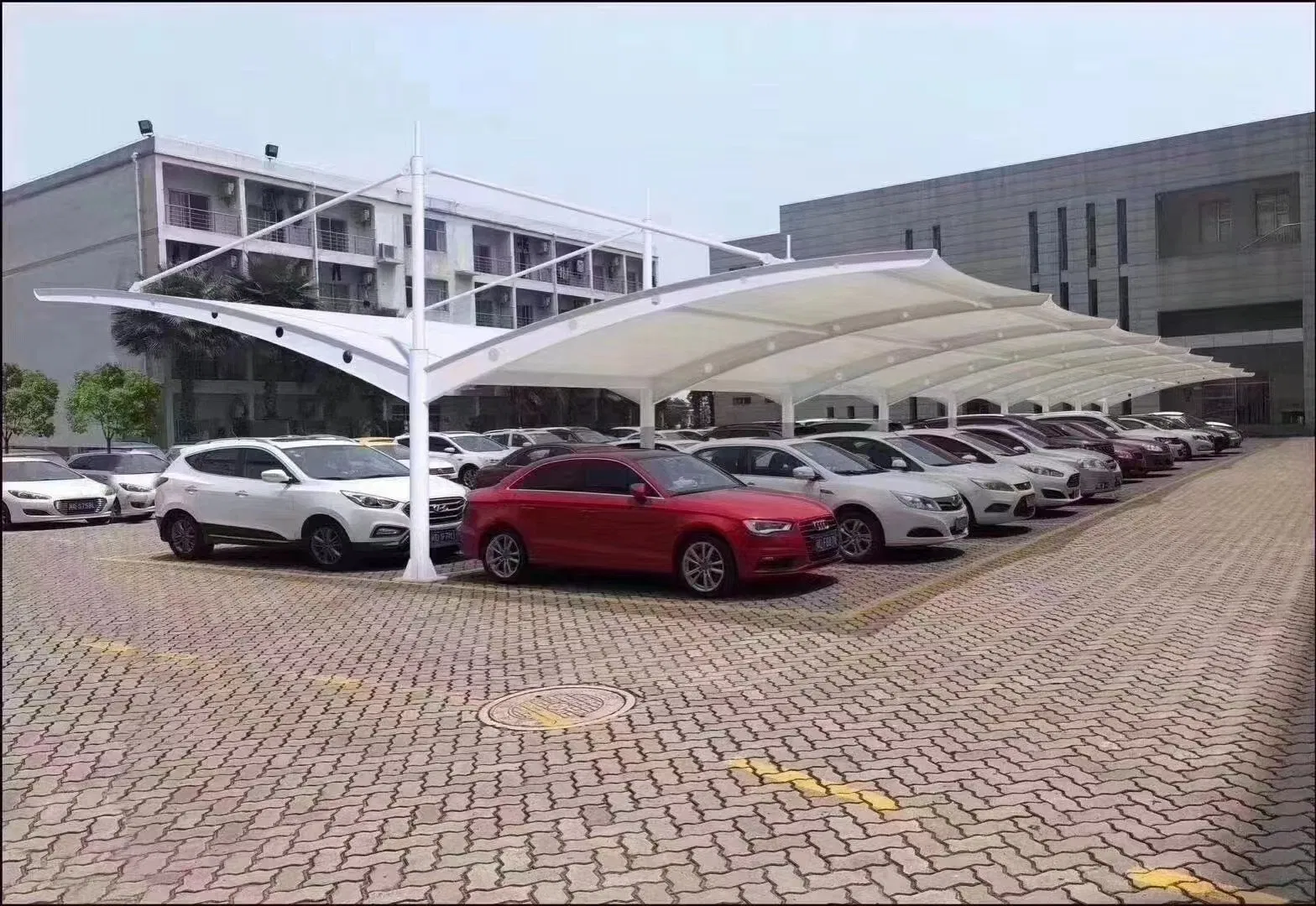 China Factory Swimming Pool Cover PVDF Tensile Architectural Membrane Outdoor Natatorium Structure Tent for Swimming Pool Tensile Fabric Structure