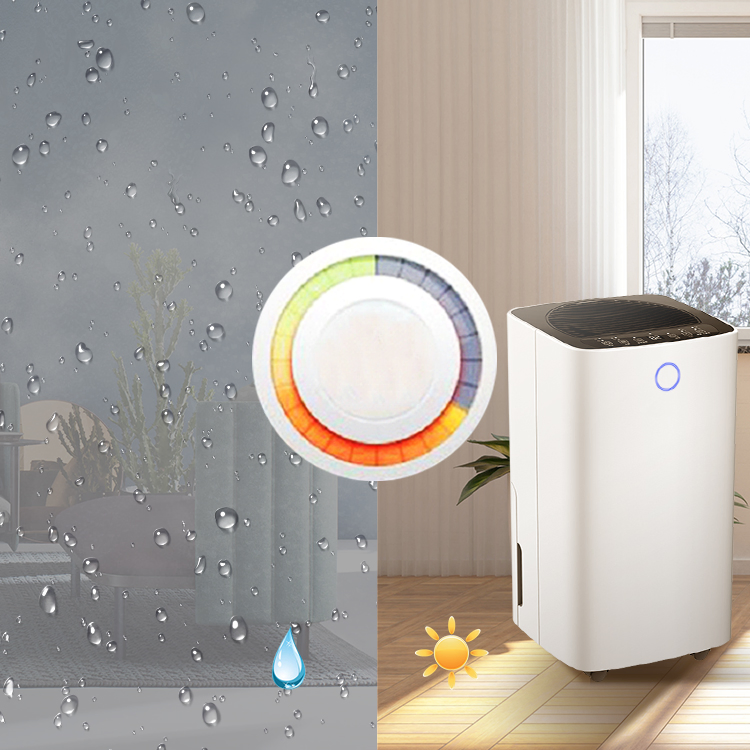 Intelligent Drying Room Portable Small Dehumidifier with Auto Shut off