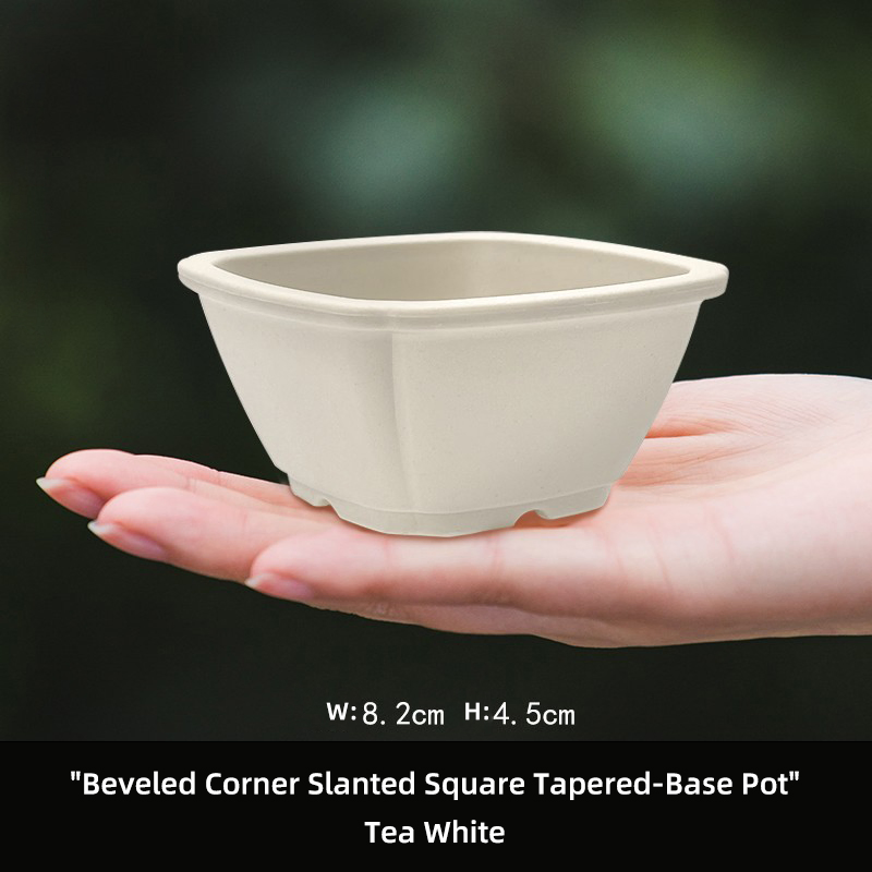 Creative Succulent Flower Pot for Succulent Plants and Calamus Small Bonsai