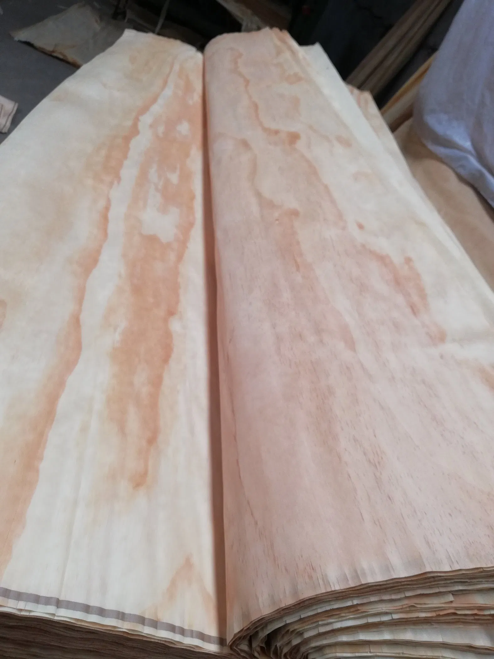 Natural Rotary Cut 0.5mm Thickness Pine Wood Face Veneer