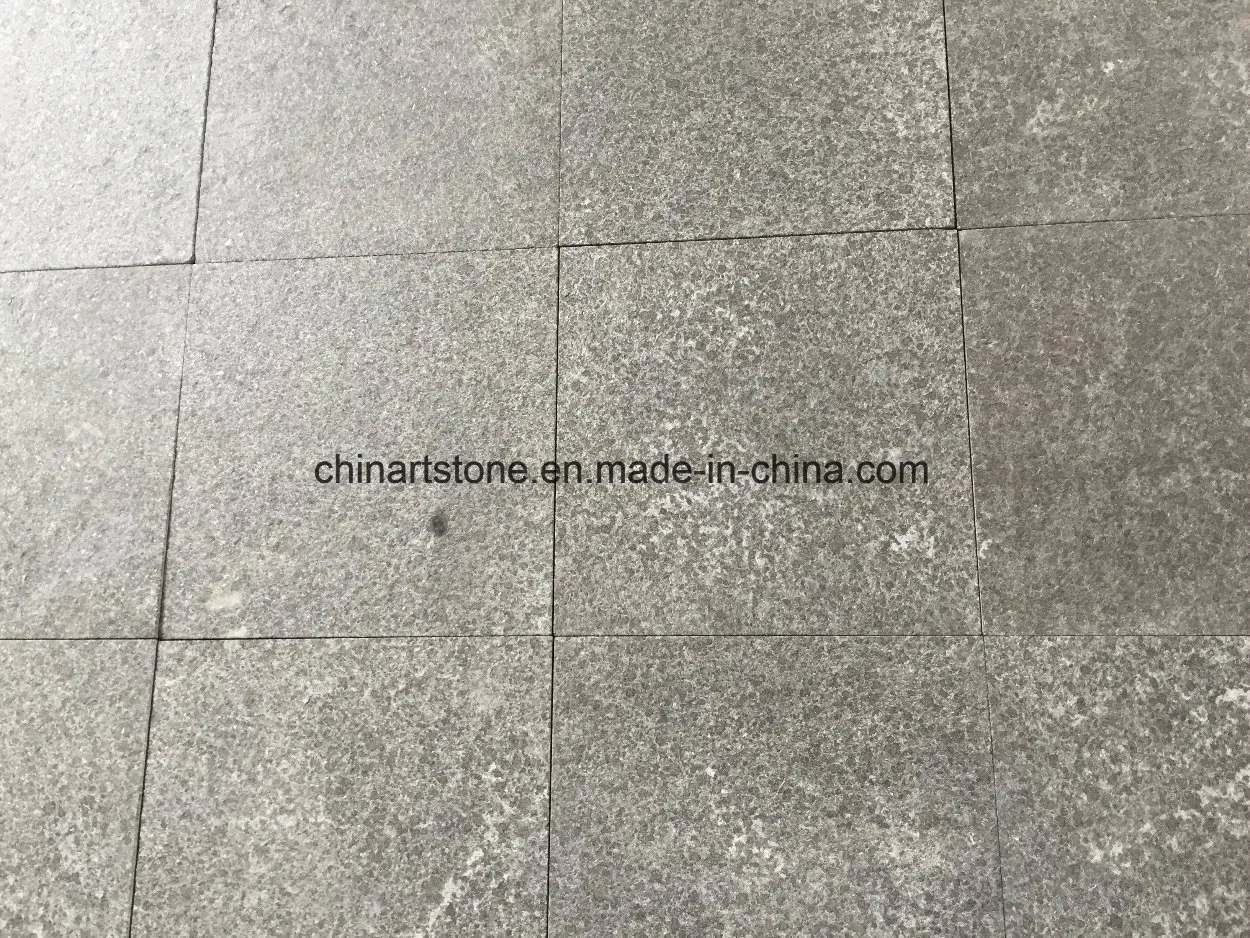China Flamed Pearl Black Granite Tile for Garden Paving