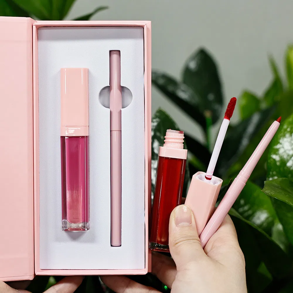 Makeup 2 In1 Lip Lipstick Lipliner Set High Pigment Private Label Vegn Matte Lip Kit