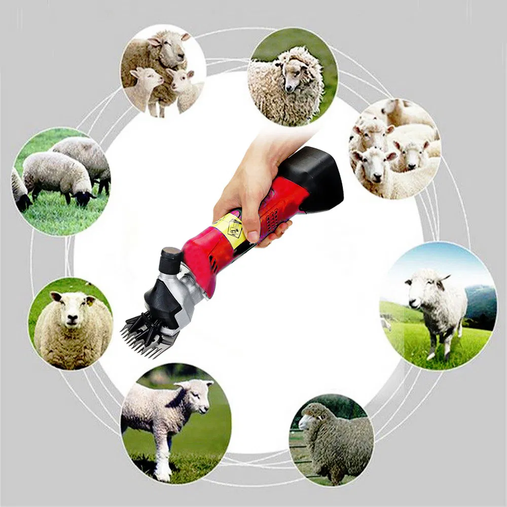 Аккумуляторная машинка для стрижки овец TM-Sh508Li