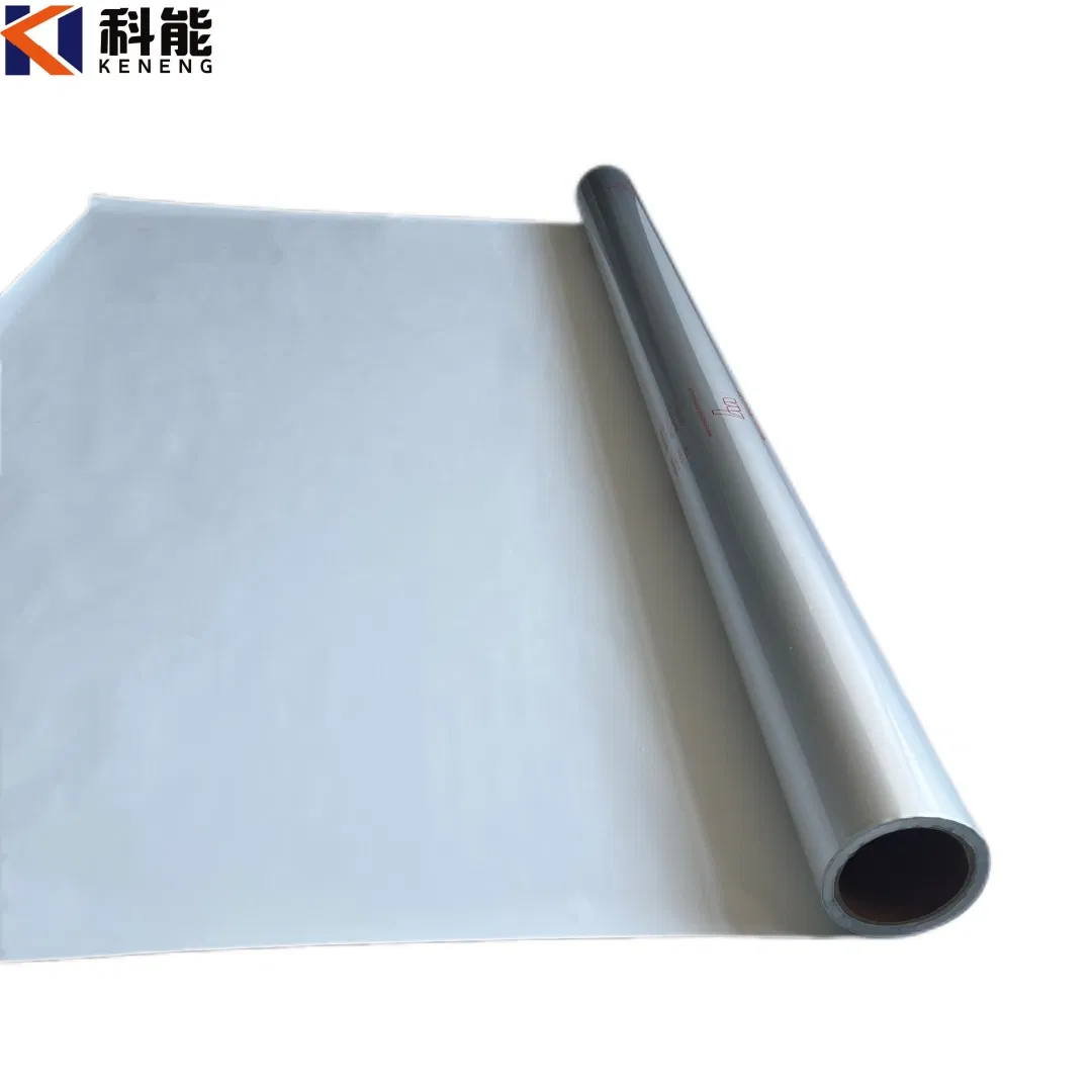 Biodegradable Additive-Based Pet/Al/CPP Film for Agricultural Seed Moisture-Proof Packaging