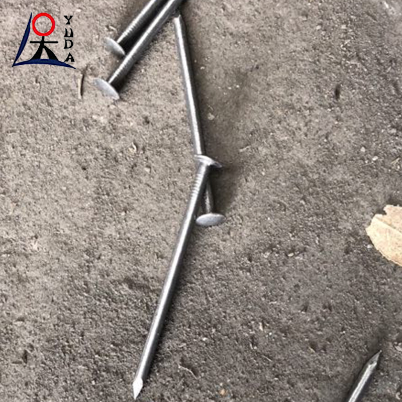 Galvanized Pure Iron Wire Nails Round Head Building Nails