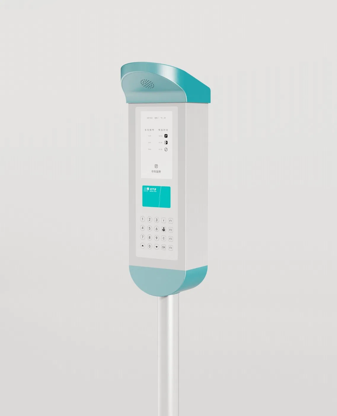 Custom Card Reader Meter for Efficient Urban Parking Solutions