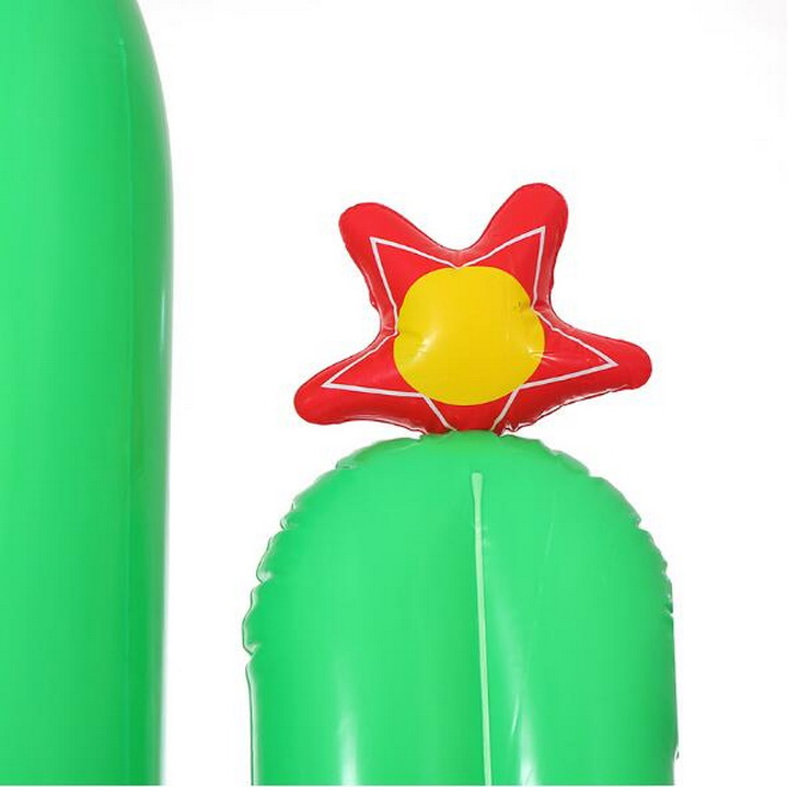 Customizable Eco-Friendly PVC Inflatable Cactus Air Mattress