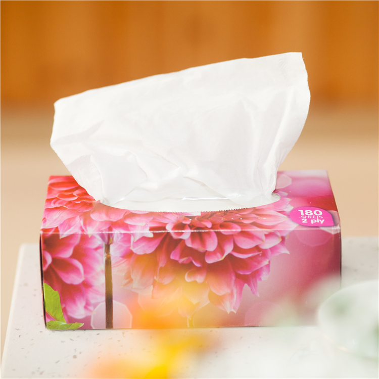 Hot Sale Natural White Soft Facial Tissues Paper