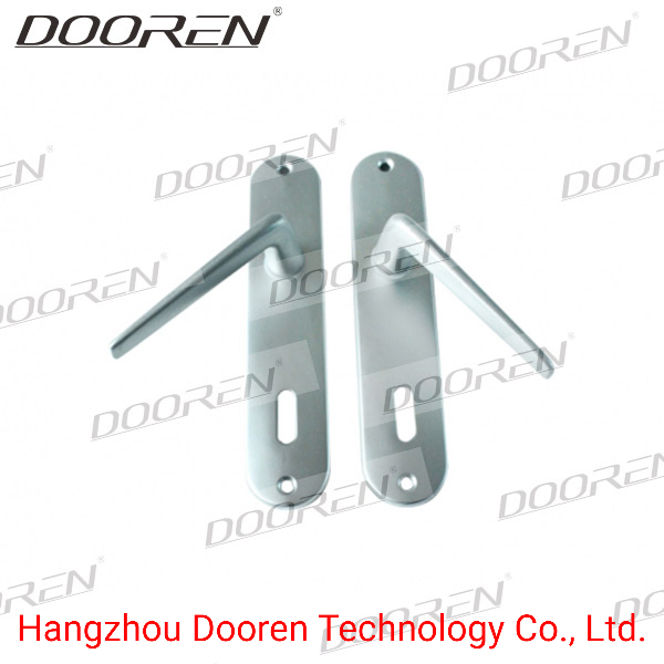 High Quality Stainless Steel Handle Door Lock