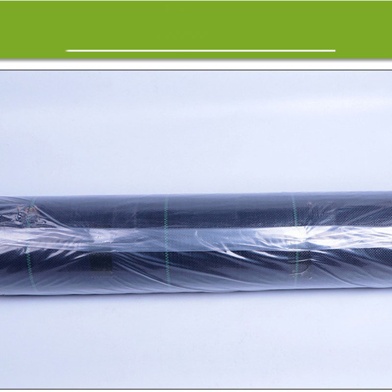 Wholesale Black Breathable Green Garden PP Material Weed Control Cloth