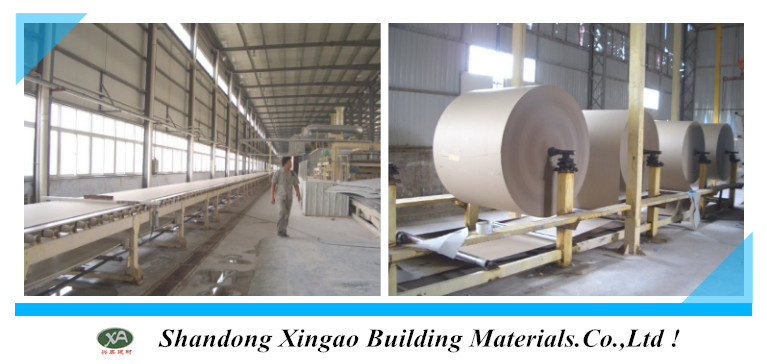 Regular Drywall Standard Plaster Boral Gypsum Board for Ceiling and Wall Panel