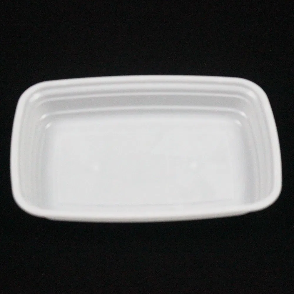 Dsipsoable Plastic Tableware 222mm Length PP Plastic White Box with Lid Clear