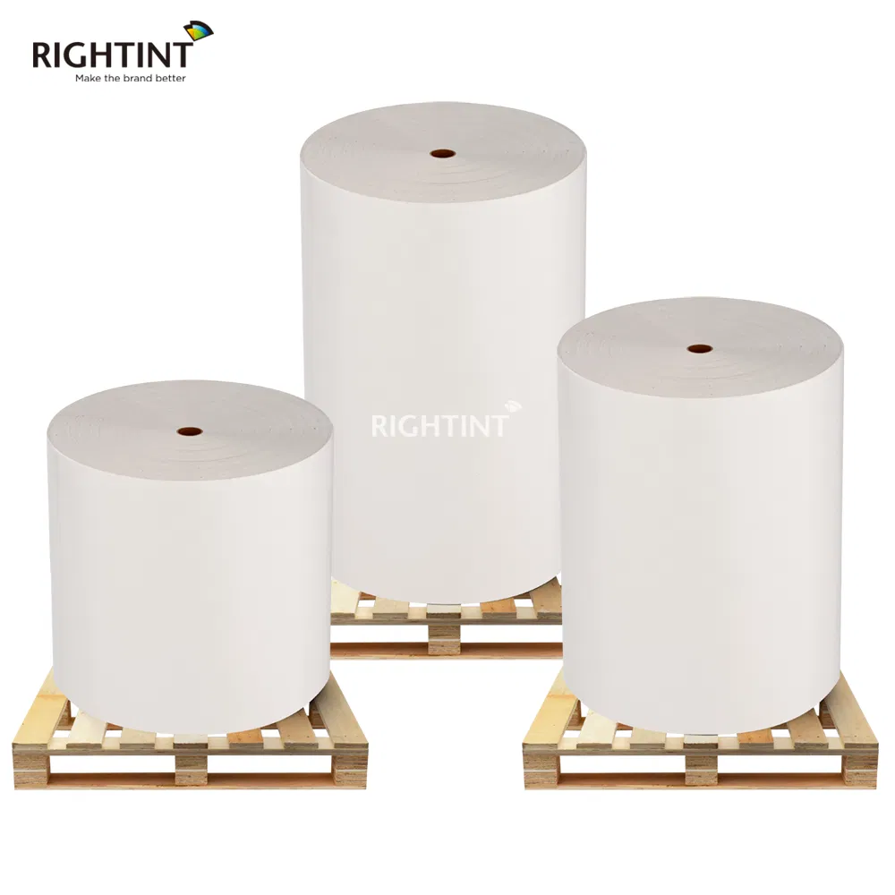 Flexographic printing label material Jumbo Roll for self adhesive sticker paper