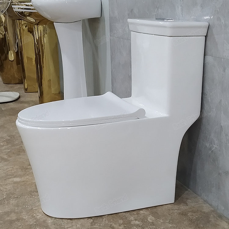 Sanitary Ware Wholesale Toilet Siphonic Floor Mounted Toilet Saving Water