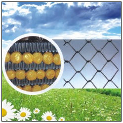 PVC Green Chain Link Fence (HP-CLF02)