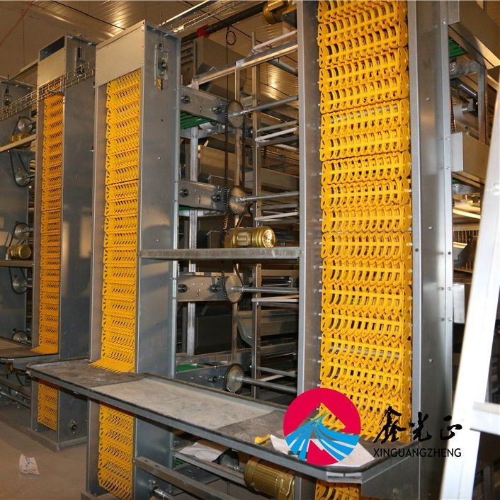 Broiler/Breeder/Layer/Egg Installation Hatchery Construction Steel Structure Shed Automatic House