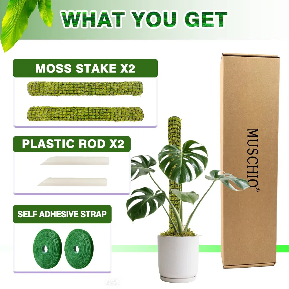 Aerial Root-Supporting Stackable Green Moss Pole for Climbing Ferns Development