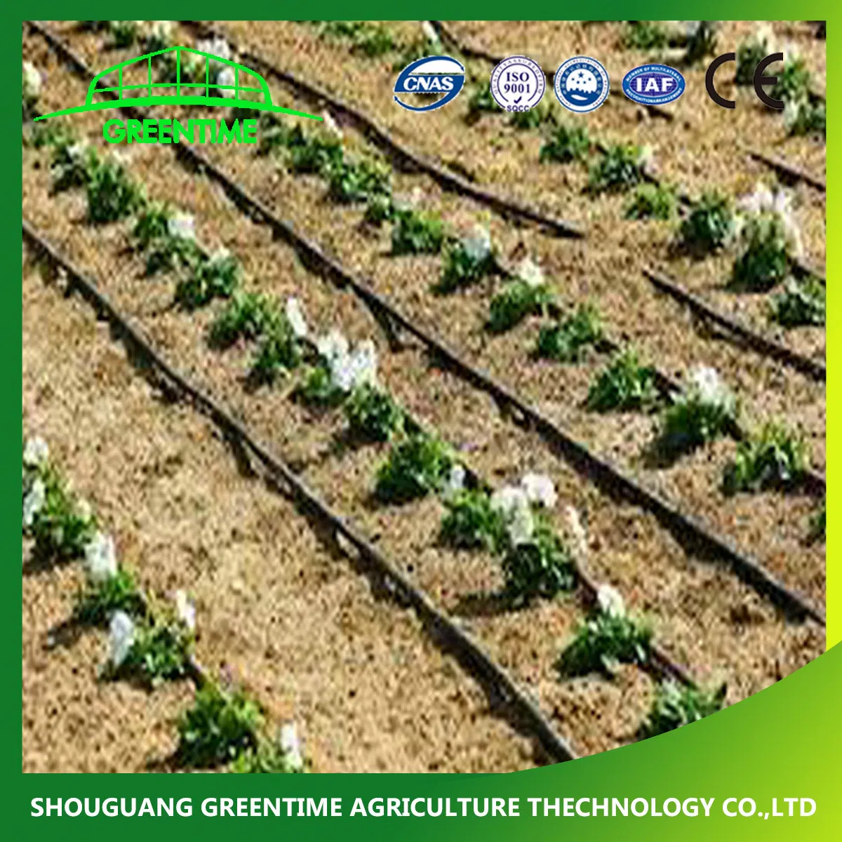 Factory Price Eco Friendly Drip Irrigation Pipes and Irrigation Sprikler System for Horticultural Greenhouse