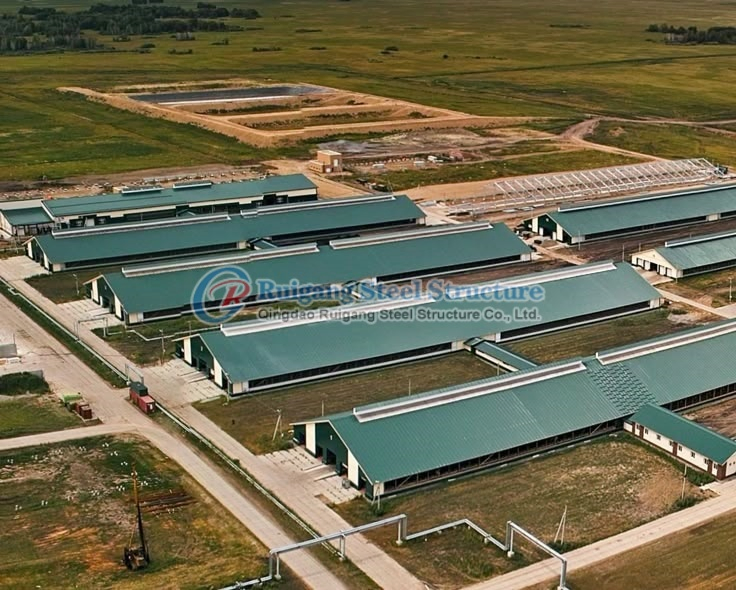 China Design Low Cost Prefabricated Steel Cow / Cattle / Sheep / Chicken Farm Building / House / Barn / Byre