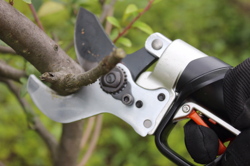 Li-ion Battery Powered Cordless Electric Pruning Operated Tree Prunner Cutting Scissors Pruner Shears