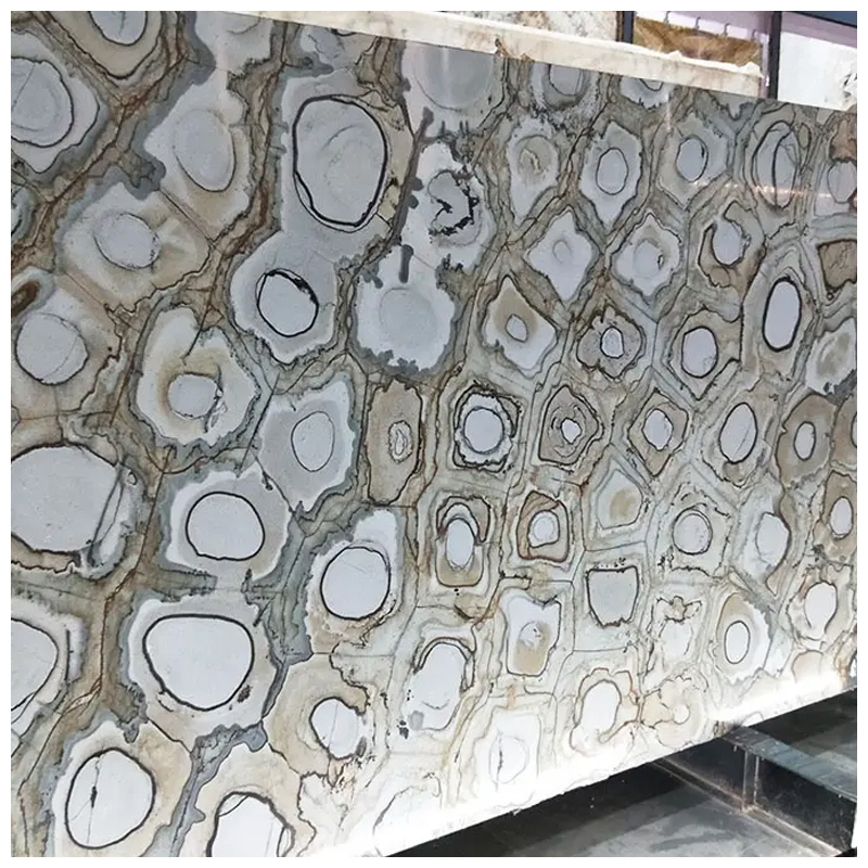 Brazilian Exotic Fossil Velours Quartzite Slabs for Countertops and Walls