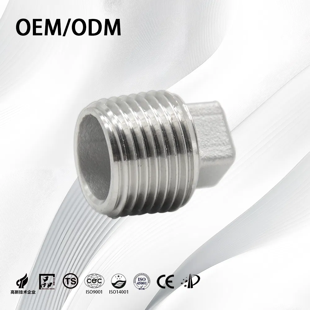 Stainless Steel Industrial Customize OEM NPT BSPT Square End Plug